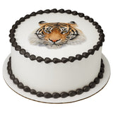 Siberian Tiger PhotoCake® Edible Image® - EIC26704