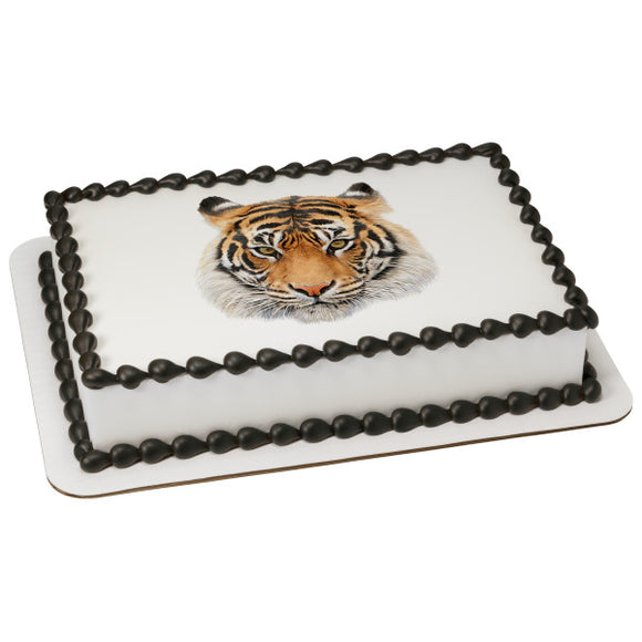 Siberian Tiger PhotoCake® Edible Image® - EIC26704