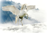 Magical White Unicorn Horse EI016004